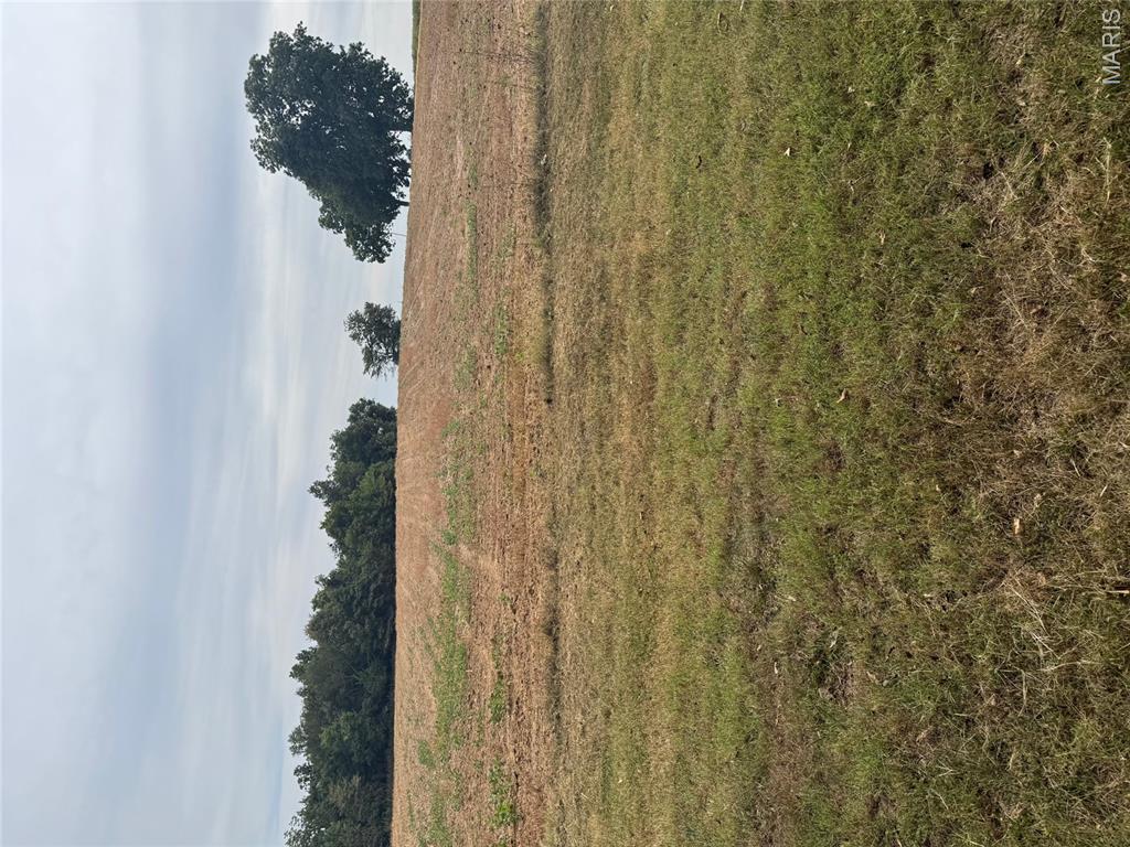 Looking for farm land, hunting land and a place to fish. This has it all. 40 acres M/L. About 10 acres M/L that is wooded. 30 acres that has been rented to same farmer for years.