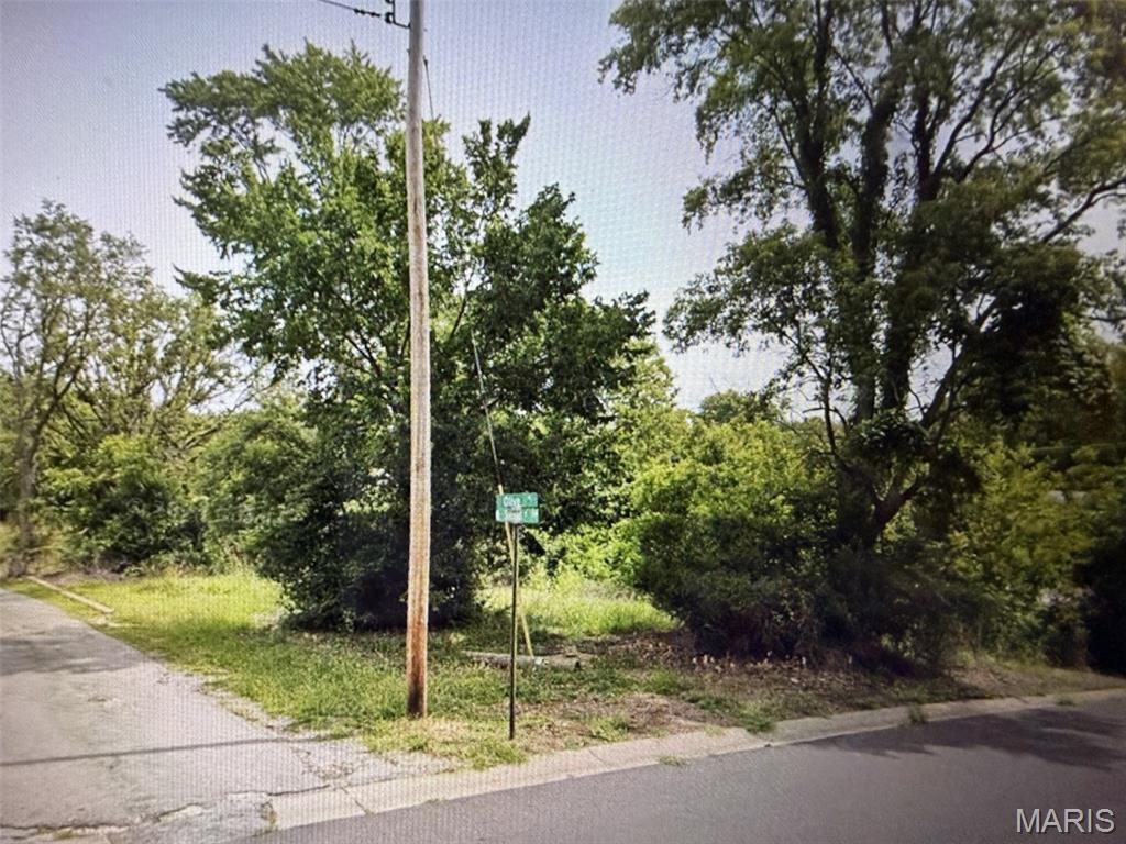 Come and check out this beautiful piece of ground in De Soto Missouri. The parcel is in town and ready for development. Current Owner has site plans drawn for multi family development.