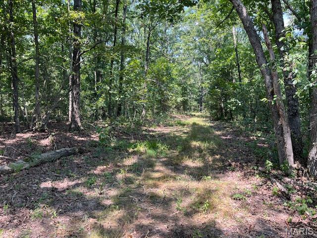 Located just outside Bland in Gasconade County, just North of St. James. This 30 m/l acre property offers a peaceful slice of Missouri countryside with the privacy and natural beauty so many are searching for. Predominantly wooded with gently rolling terrain, this land is ideal for hunting, recreation, or creating a quiet country retreat. Hunters will appreciate the thick timber, natural cover, and abundant wildlife, with deer and turkey frequenting the area. The rolling ground provides great opportunities for trail development, food plots, or secluded stand locations, making it a solid recreational property. For those dreaming of a future homesite or weekend getaway, this tract offers multiple private building locations tucked into the woods, surrounded by nature and quiet. Gravel road access makes it easy to reach while still feeling removed from the busyness of town. Whether you envision early mornings in the woods, weekends exploring your own land, or building a forever home where peace and privacy come standard, this property gives you the space and freedom to make it happen. If you’re looking for simple, scenic Missouri land with endless potential, this one is worth a walk. Come see it once — you’ll understand.