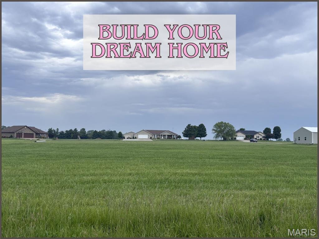 An absolutely gorgeous building lot just outside of Beckemeyer in the Carlyle School District! This is your opportunity to build the home you’ve always dreamed of in a peaceful country setting with plenty of room to make it your own. Don’t miss your chance to snag this beautiful property before someone else does!