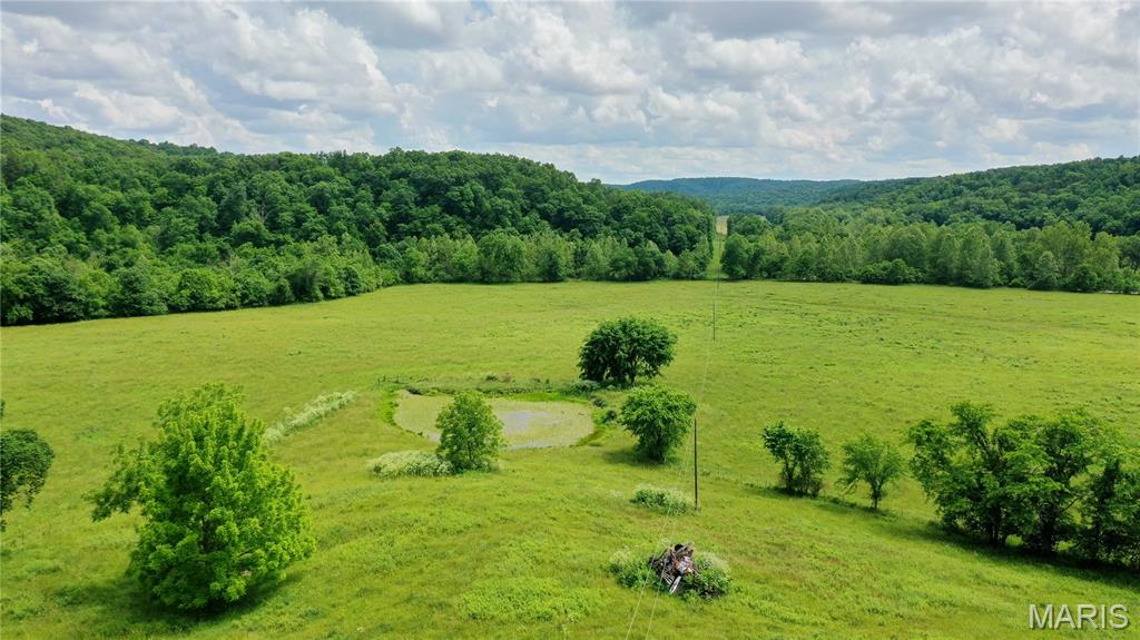 Property dreams are made of! Located in scenic Ritter Hollow, this 473.16 acre farm offers the perfect mix of pasture, timber, recreation, and privacy. Approximately 100 acres of lush pasture are complemented by spring-fed Barren Fork Creek, numerous ponds, cattle waterers, and a well, providing excellent opportunities for livestock. The property is fenced and cross-fenced and features a 40x40 barn with electric and corral, ideal for hay, equipment, or cattle operations. With an estimated 200-250 acres of marketable timber, this farm also offers excellent investment potential. Multiple beautiful building sites feature breathtaking views with established electric and well already in place. Tucked down a dead-end road with gravel frontage, the property offers outstanding seclusion and tranquility, while being bordered on one side by Pioneer Forest. Loaded with whitetail deer and Eastern Wild Turkey, this is a true hunting and recreational paradise. Conveniently located minutes from the famous Current River, Echo Bluff State Park, and Current River State Park for floating, camping, trout fishing, and exploring. Large tracts like this are increasingly hard to find. Schedule a private showing today!