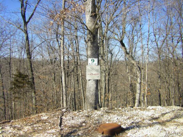 The Bluffs at Hoene Springs - Land
