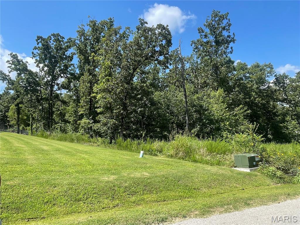 If you are looking for a lot to build your dream home, check out this 1.33 acre lot in the very desirable Timberlake Trails Subdivision.  One of the perks living in this subdivision is the private lake that you can fish out of!  Drive by and look at the beautiful homes and then call me to make an offer!