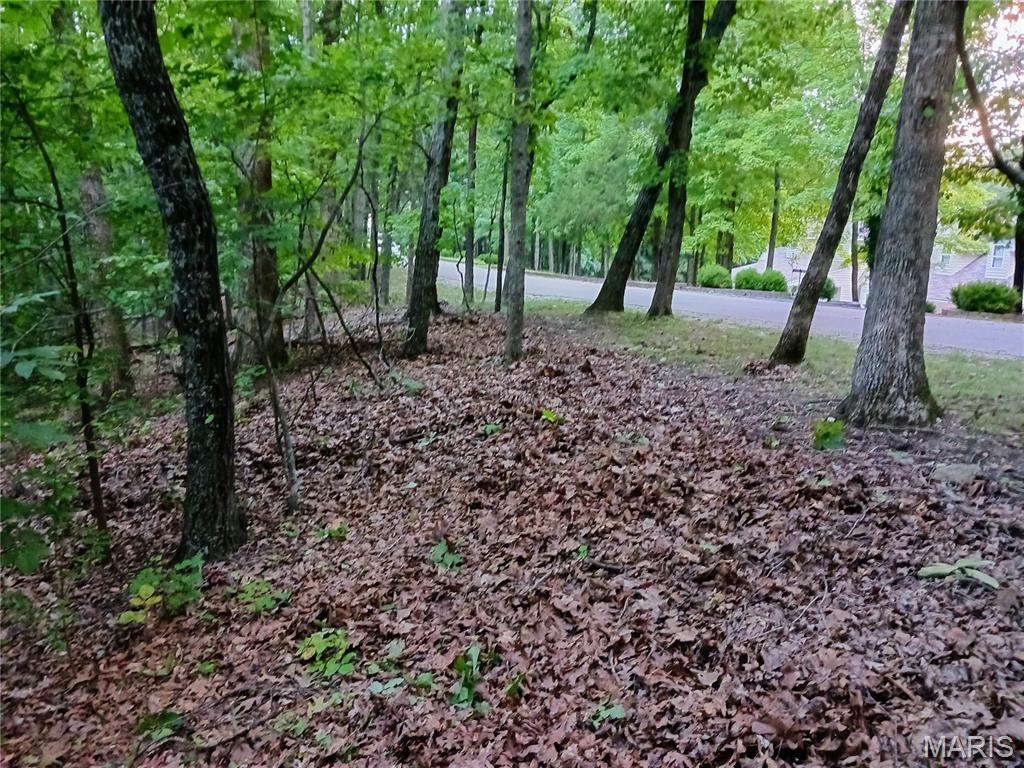 Discover the potential of this 4.83+/- acre property located in the Fairfield Subdivision in Pacific, Missouri. The property offers privacy, natural beauty, and the opportunity to create a secluded homesite, while also providing space for hiking and hunting. With amazing southern views, this property offers an excellent location to take advantage of the surrounding landscape.

Paved road frontage provides convenient access, while electric is available along the road frontage. Located in the Washington School District and just minutes from Saint Albans Country Club and Rockwoods Reservation Conservation Area, the property combines the privacy of a wooded acreage setting with convenient access to recreation, golf, and nearby amenities. It's just 5 miles from Wildwood and St. Louis County, 7 miles from downtown Pacific, 25 miles from Augusta, and 26 miles from Kirkwood, while benefiting from Franklin County property taxes.

Whether you're looking to build your dream home, establish a private retreat, enjoy the property for hiking or hunting, or secure acreage in a desirable Pacific-area location, this land offers a unique opportunity with excellent potential. Financing options are available.
