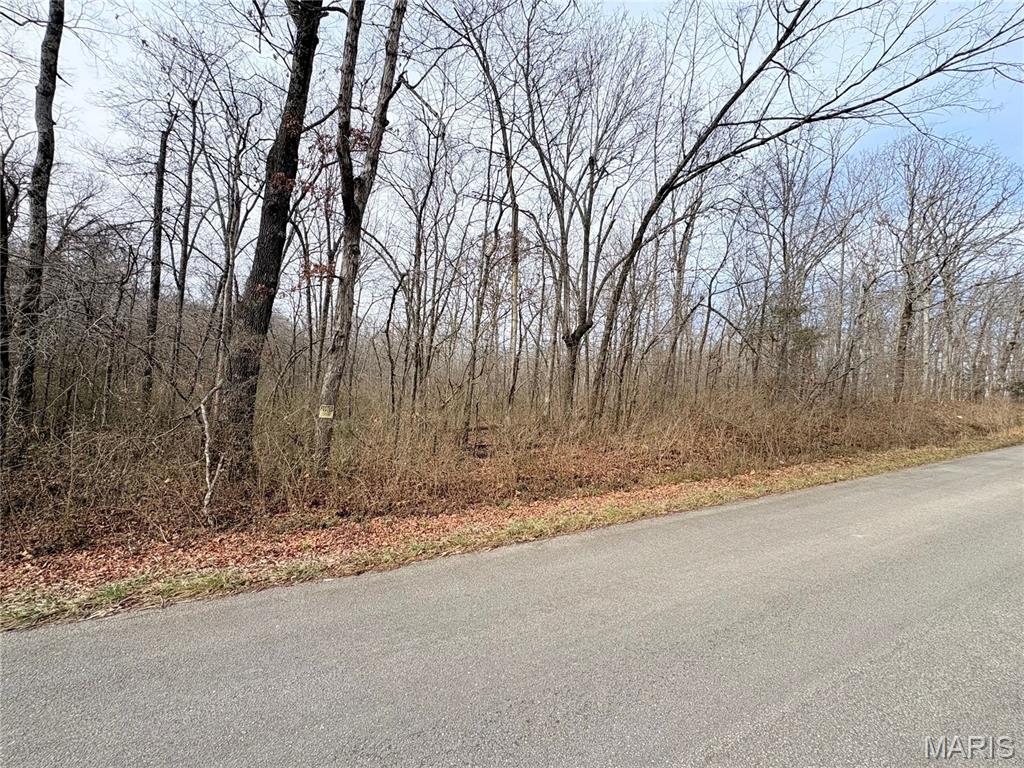 Located outside city limits of Poplar Bluff, this 20 acre tract of land is situated ideally for your next project. Wooded with mature timber will provide the new owner with added value.Public water and sewer are available.