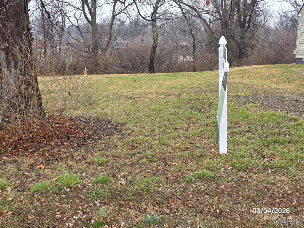Buildable lot 50 x 200. Boundary survey & Topographical survey available.