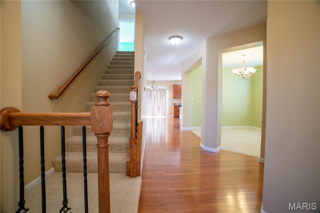 Brighton Park - Residential Lease