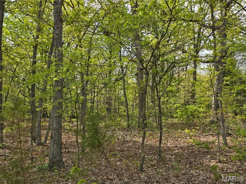 GreatviewLane - Land