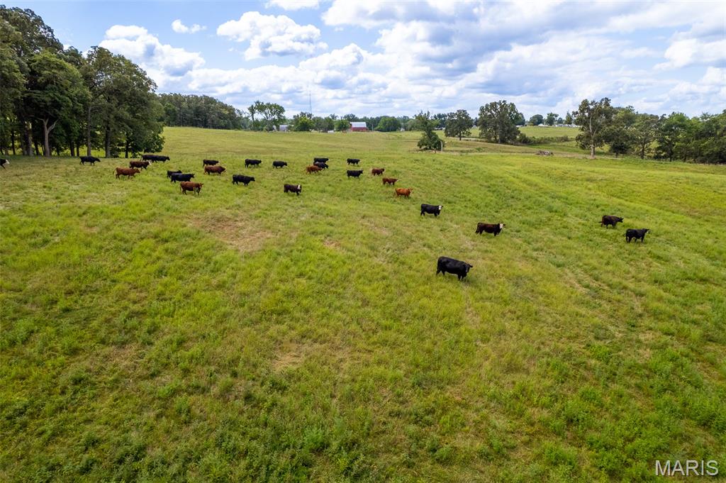 N/A - Farm