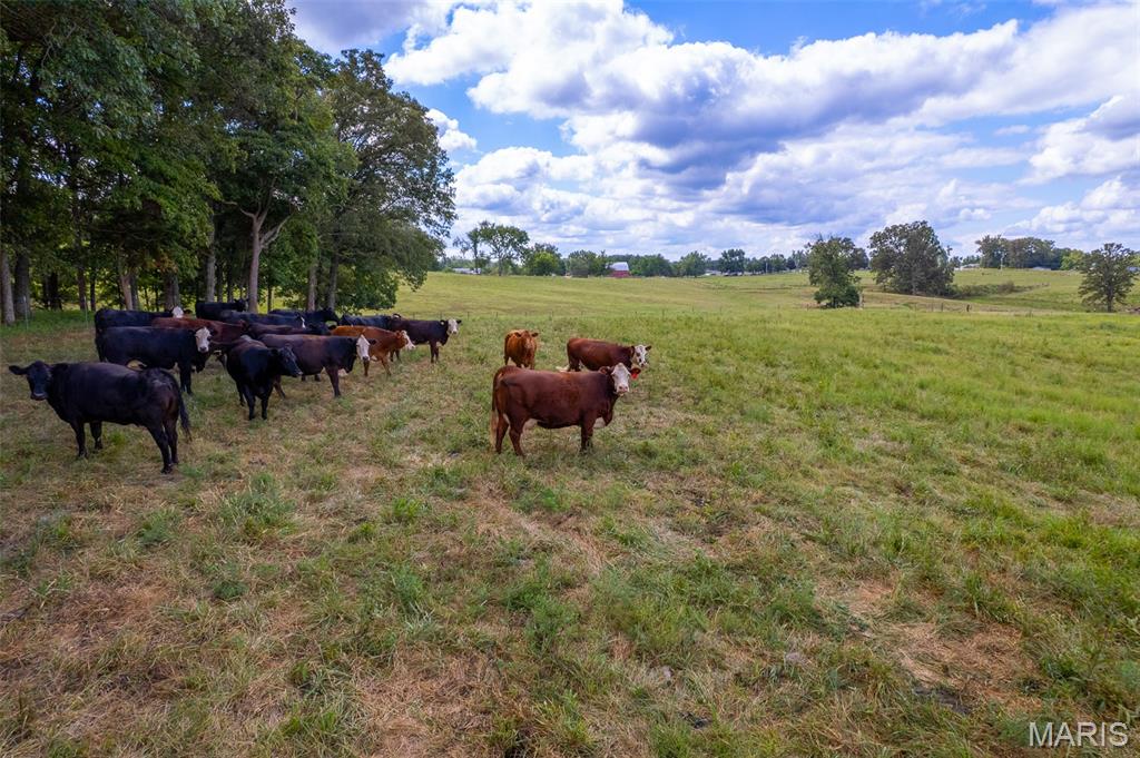N/A - Farm