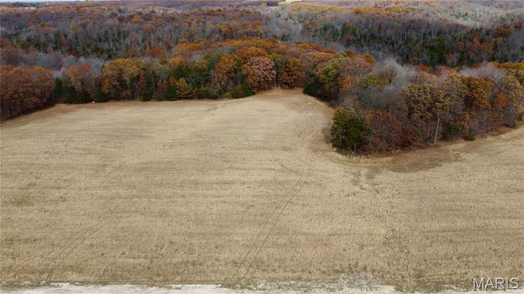 Polston Farms - Farm