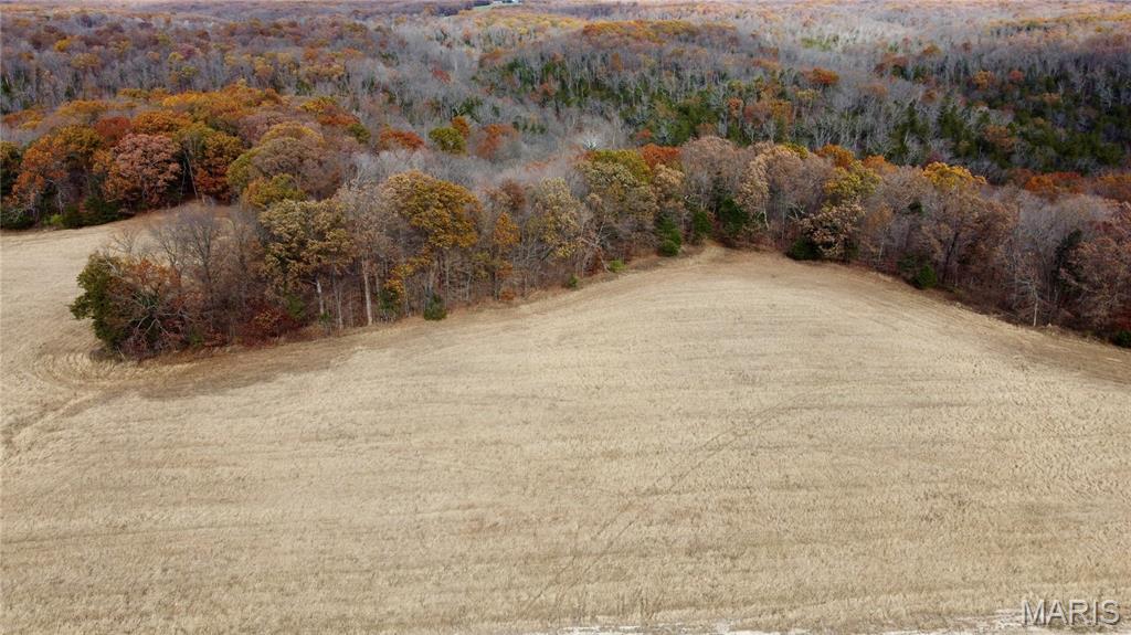 Polston Farms - Farm