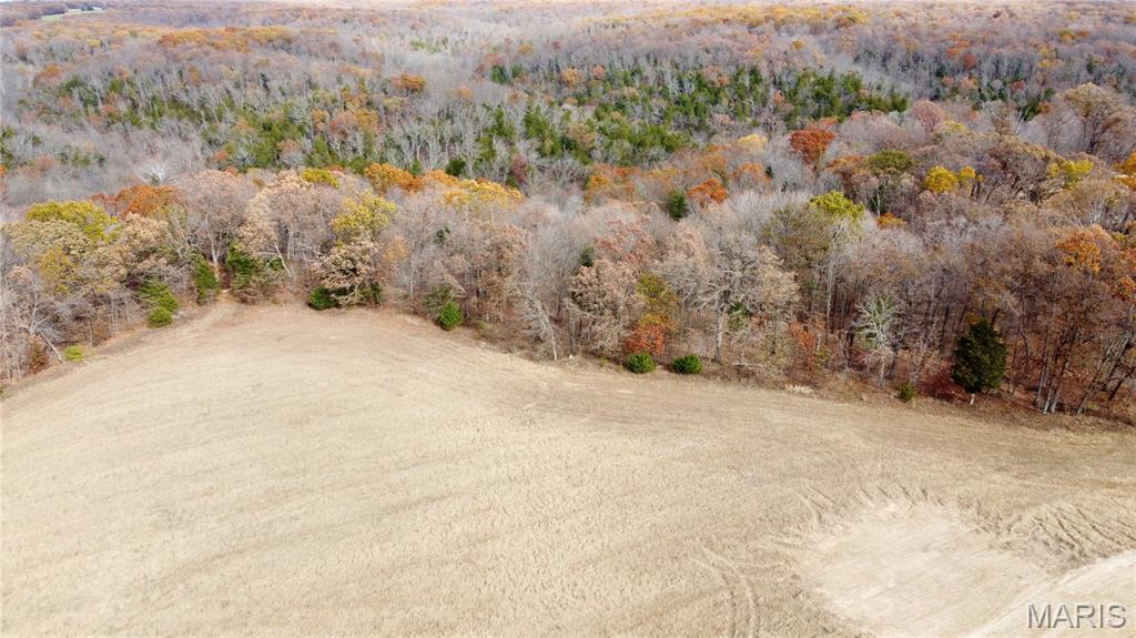 Polston Farms - Farm