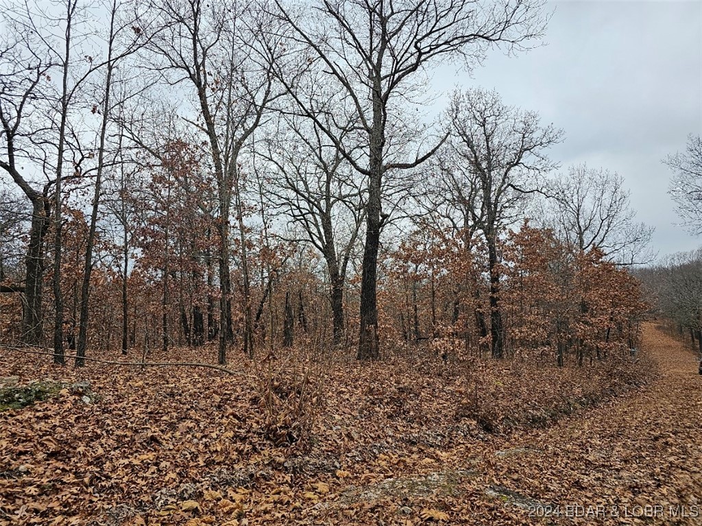 Forbes Lake of the Ozarks - Land