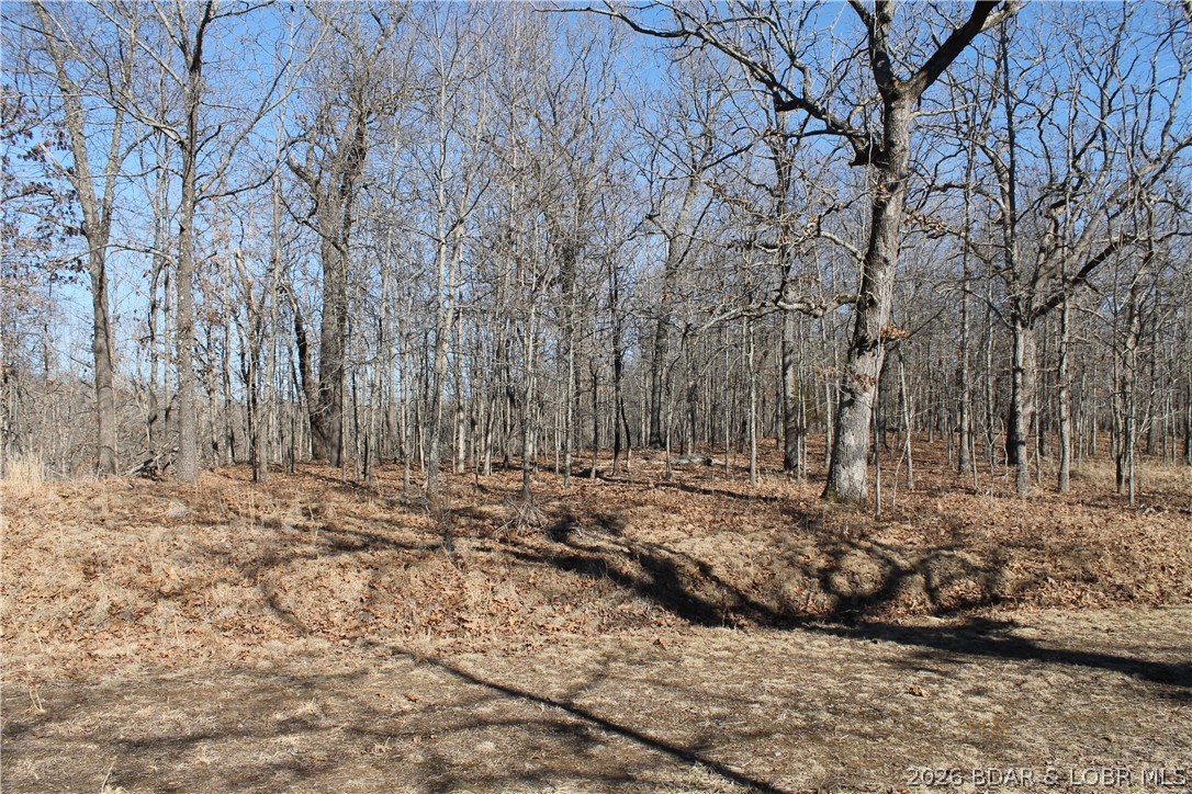 Come relax and enjoy the peaceful serenity of your own 3-acre retreat! Surrounded by nature, this property is home to abundant deer, turkey, and other wildlife for you to enjoy. Whether you’re ready to build your dream home or create the perfect getaway, this lot is nestled within the gated Forbes Lake of the Ozarks Park, offering an array of amenities including interior lakes, boat ramps to the calmer side of Lake of the Ozarks, tennis court, RV park, and more. Conveniently located just 30 minutes from Warsaw and a little over 2 hours from Kansas City, this property combines privacy, recreation, and accessibility. Don’t miss the chance to make it yours!