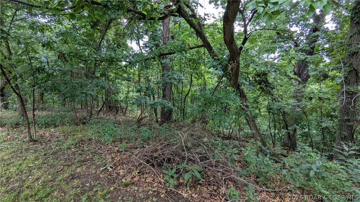 Lake Fork Heights - Residential