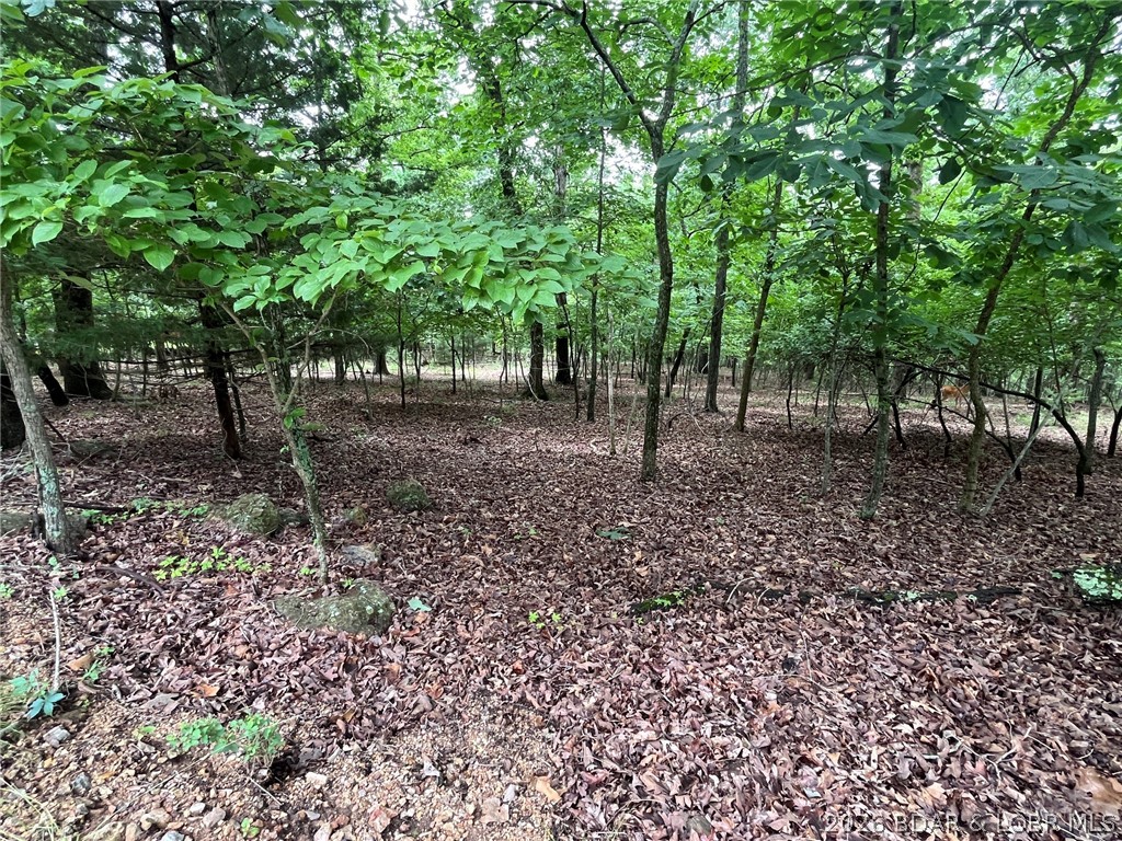 Kays Point #3 - Land