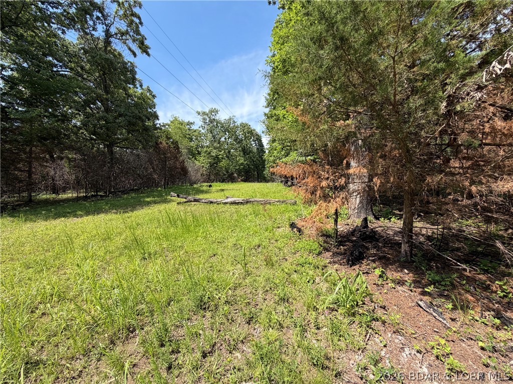 Three 3+/- Acre parcels for sale.  Land is mostly level wooded acreage. Great Building Sites! Tons of possibilities.  Seller will sell in 3 acre+/- parcels or buy all for a total of 9+/- Acres. Located at the Jct of Captains Fancy and Camp Sharon Roads. Each 3 Acre parcel will have approximately 250'-265' road frontage.  The 9 acres have approximately 800' of road front on Captains Fancy Rd and 540' on Camp Sharon. Close to blacktop and Gravois Fire Station. Great Lake Fun with Mermaid Cove and Lake Burger a short distance away.  Also View 9 acre listing MLS #3587747