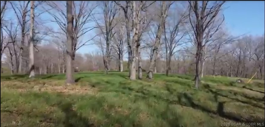 Timber Ridge - Land