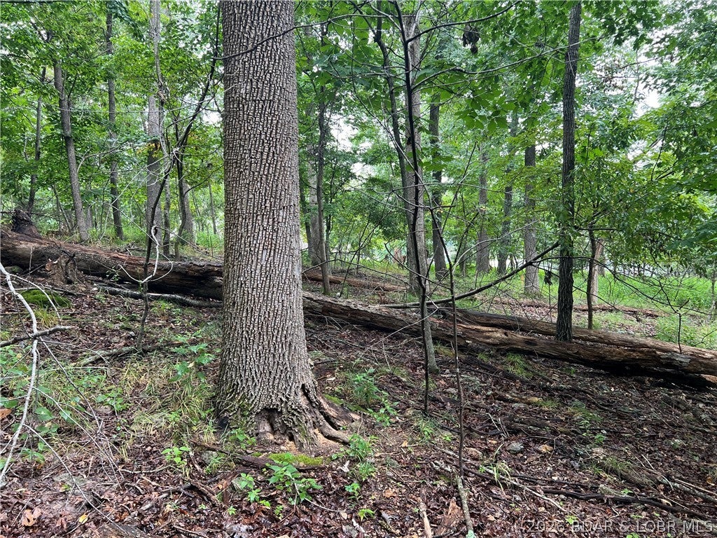 Kays Point #2 - Land