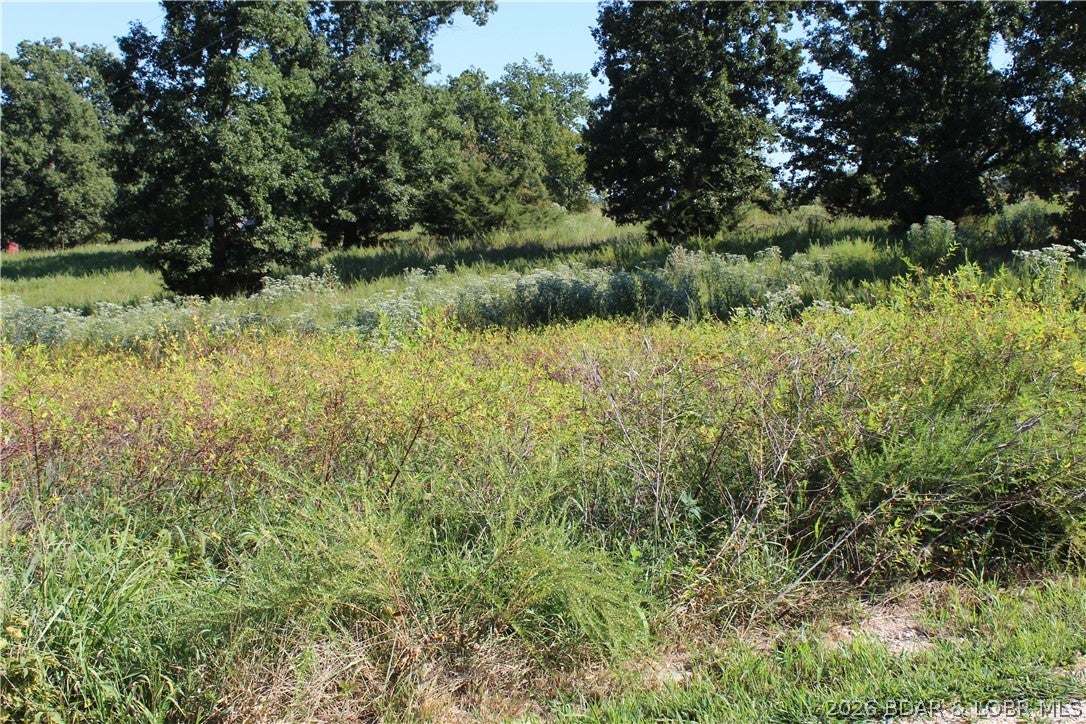 Country Life Acres - Land