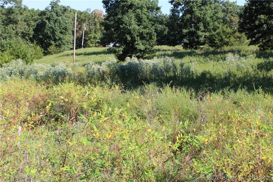 Country Life Acres - Land