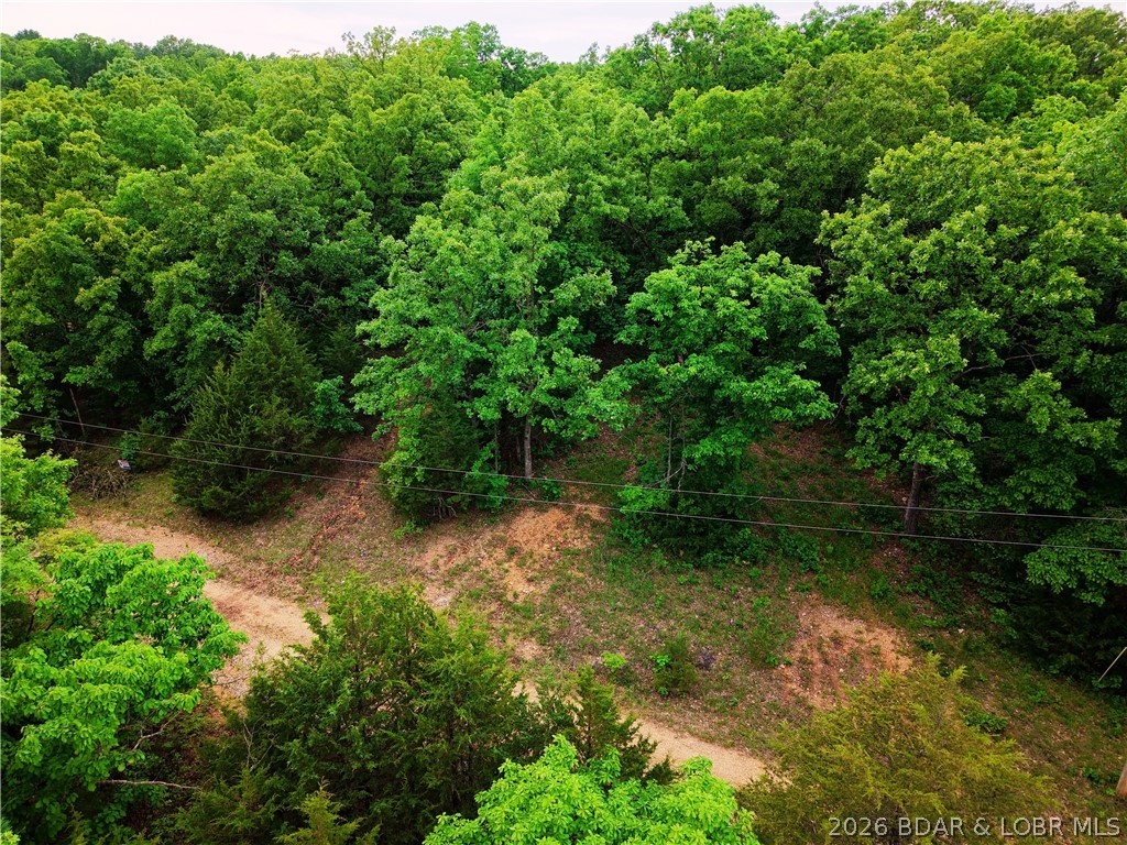 Three wooded lots on Mohawk Ln in Rocky Mount with access to both Lake Pocahontas and Lake of the Ozarks through the community area. Two of the lots are partially cleared, giving you a head start for camping, building, or weekend use. Electricity is available at the road.

Beyond the lake access, property owners also have use of community hunting areas and campground space, making this a great setup for someone wanting a little more than just a standard lot.

Whether you’re looking for a weekend spot, future build site, or just a place to get away for a bit, these lots offer a lot of flexibility in a quiet wooded setting.
