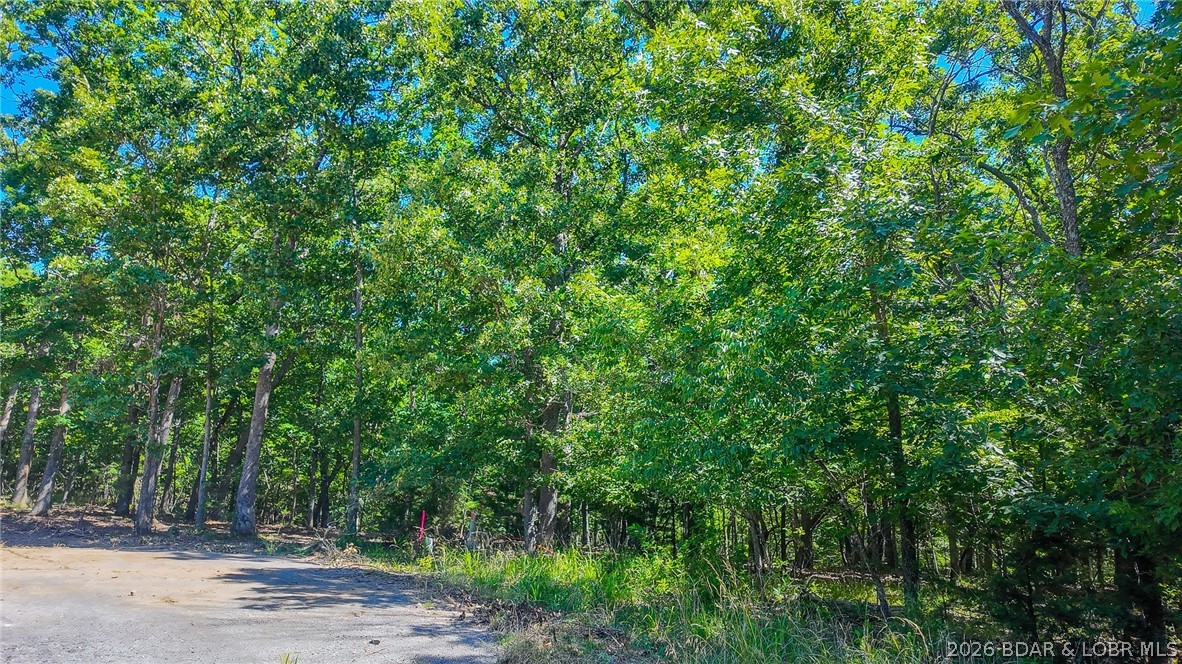 Build your dream home on Champion Court! Discover the perfect canvas for your custom home on this beautiful 0.64-acre wooded lot, offering plenty of space and premium resort-style living. Owners here gain access to incredible Four Seasons amenities, including multiple community pools, a fully equipped exercise room, playgrounds, and more. Building is a breeze with water and sewer agreements already firmly in place. The lot's unique topography is beautifully level for the first half, providing an ideal, easy-to-build foundation for your main structure, before gently sloping down toward the back to offer wonderful potential for a walk-out basement or elevated deck views. Located in a well-maintained neighborhood with an HOA ensuring community standards, the minimum build requirement is a comfortable 1,100 square feet (or consistent with surrounding homes), perfectly protecting your long-term property value.