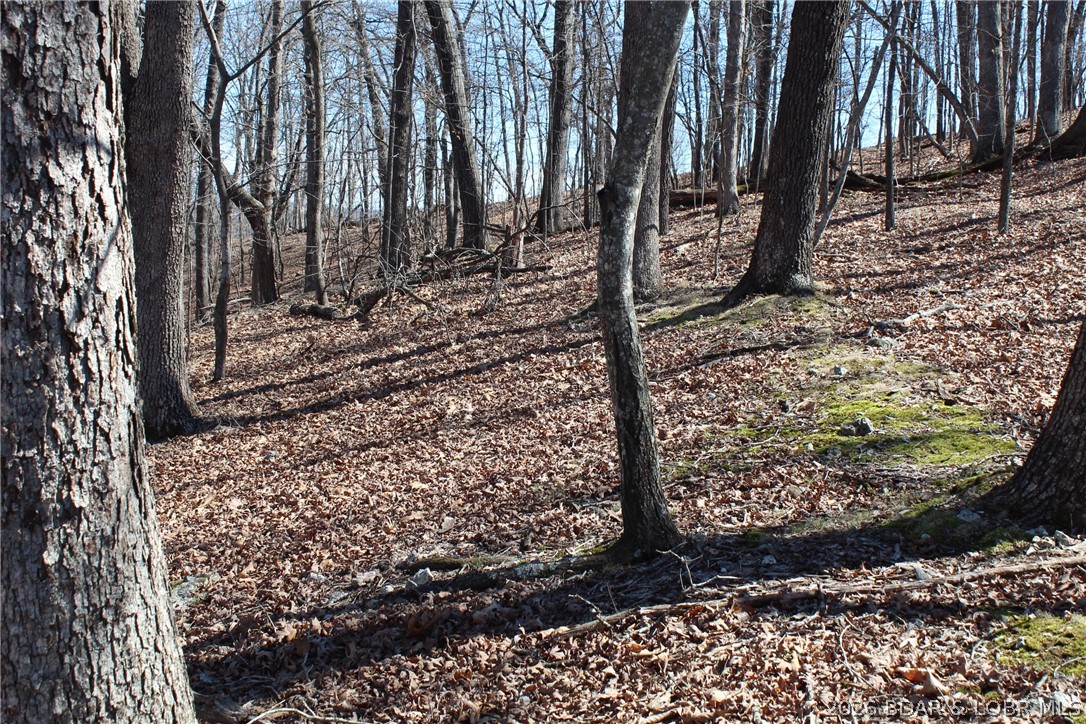 None - Land