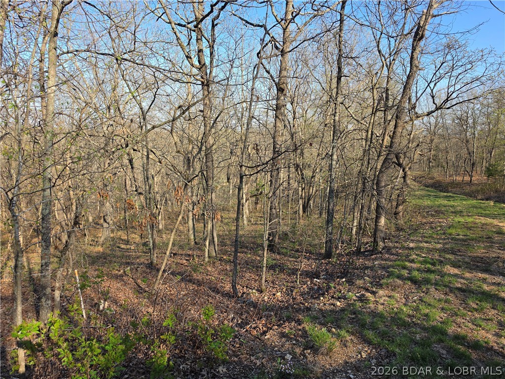 Forbes Lake of the Ozarks - Land