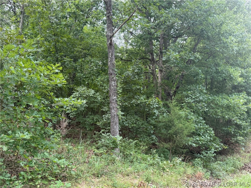 Forbes Lake of the Ozarks - Land