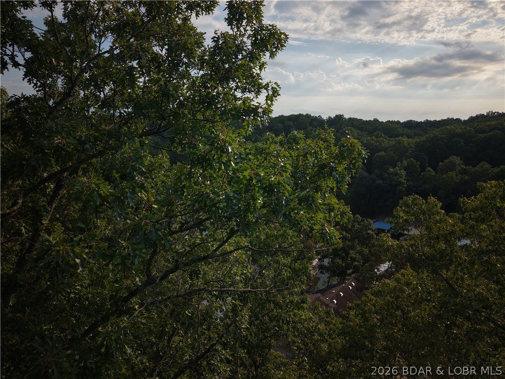 Moss Hollow Estates - Land