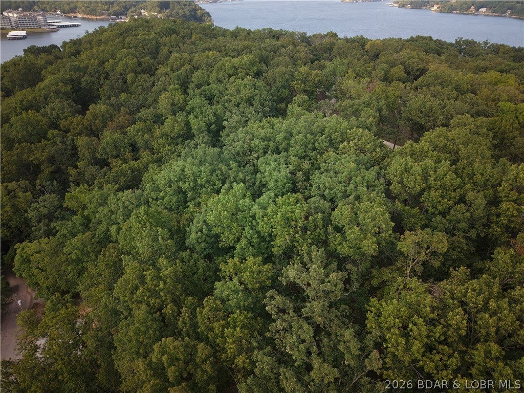 Moss Hollow Estates - Land