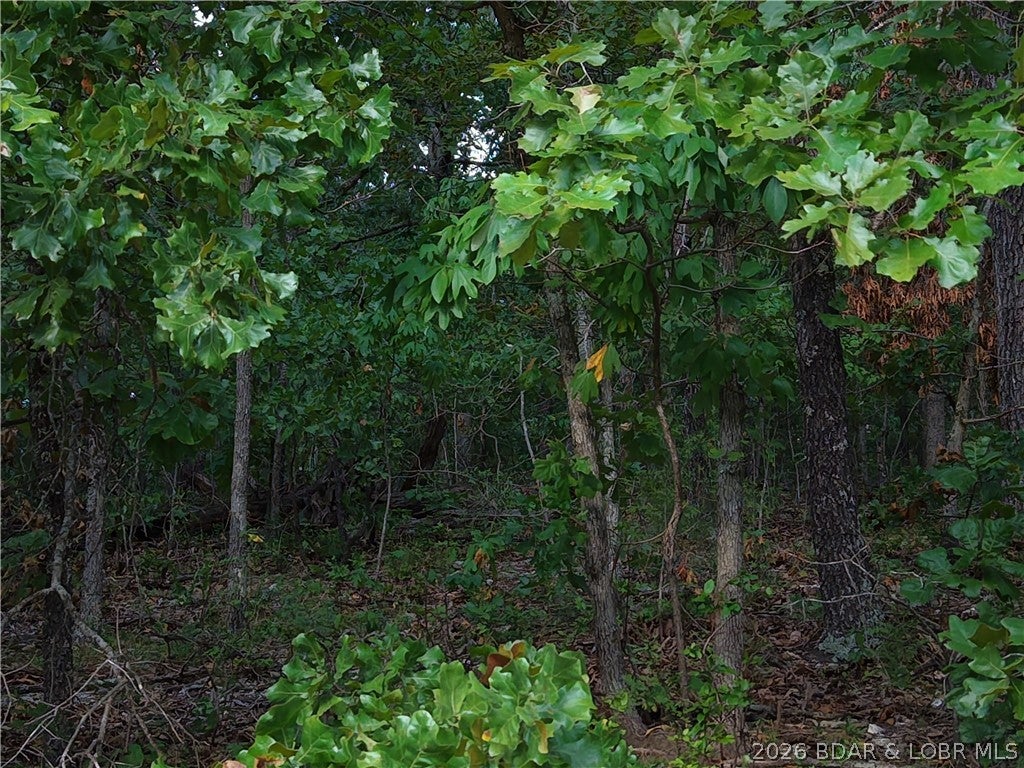 Moss Hollow Estates - Land