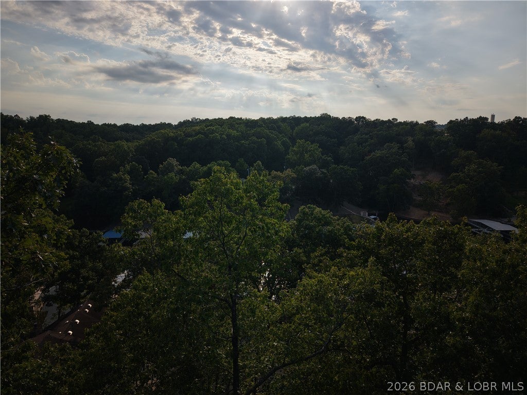 Moss Hollow Estates - Land