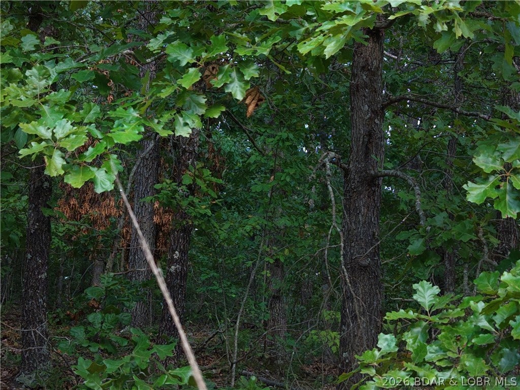 Moss Hollow Estates - Land