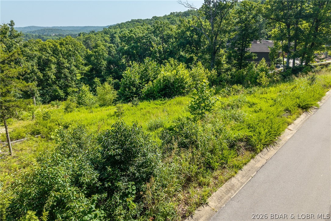 Old Kinderhook - Land