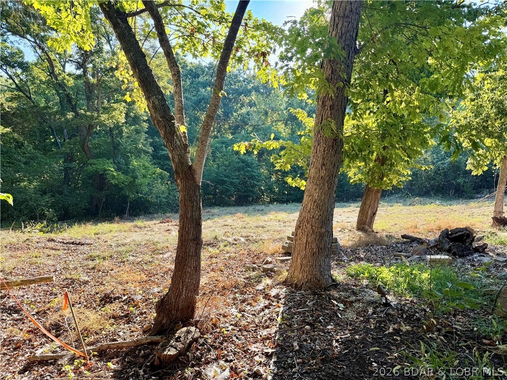 Old Kinderhook - Land