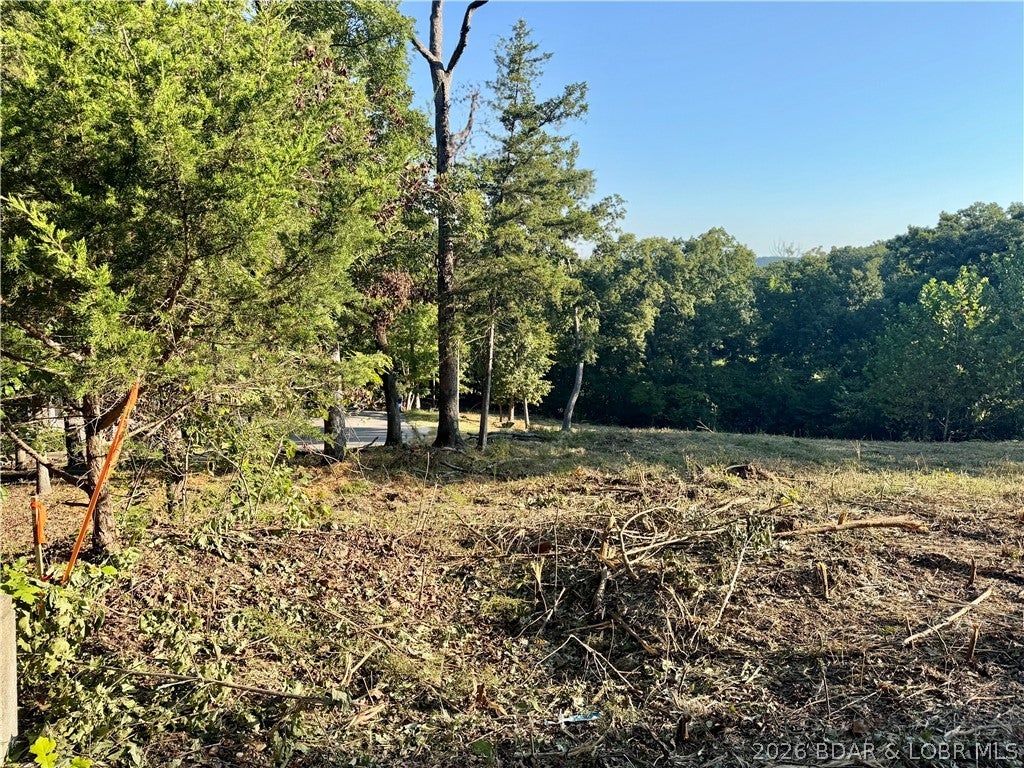 Old Kinderhook - Land