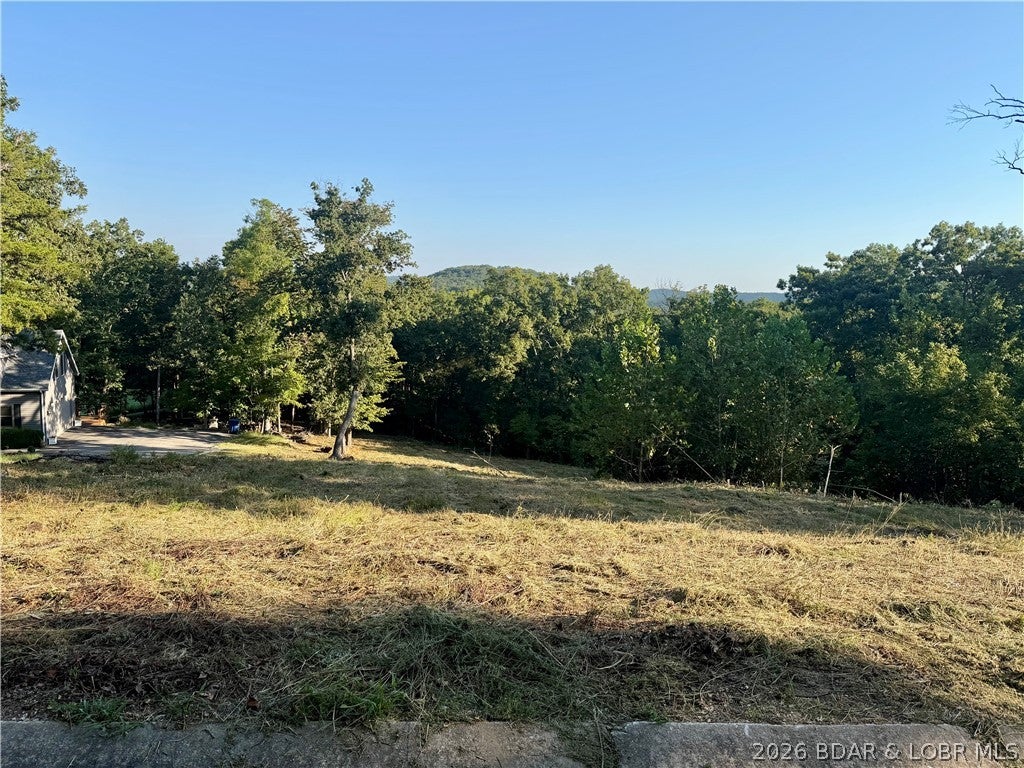 Old Kinderhook - Land