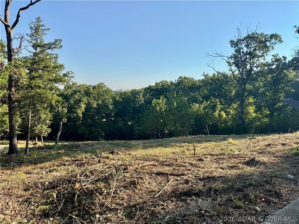 Old Kinderhook - Land