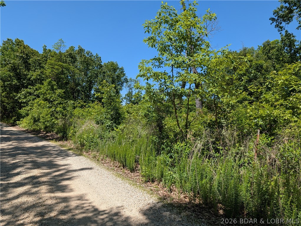45.4 survey ACRES  and  2025  Build - 32 ft x 50 ft metal building built on a full slab concrete floor . 704 sq ft of partially finished living space studded in wall provide a 1 bedroom and 1 full bath also living room and dining area, kitchen features industrial deep well double kitchen sink, SS refrigerator, Janska 36" commercial freestanding gas over electric stove, New washer and dryer, water softener. Lots of windows to enjoy the wildlife and space surrounds on 45 wooded surveyed acreage with lots of road frontage. You will find a 2 car oversize 32x28 attached garage. features 10 ft door and a 11 ft door with 2 openers The interior is just waiting for your finishing touches. Walls and ceiling have sprayed insulation. Ready to heat the home is this Englander Blue Ridge 500 wood stove. Also a mini split just waiting to be hooked up. fiber internet .. Other features framed 3 ft doors easy level access, 2x6 walls & 9ft wall height. Drilled well and septic. Security light and camera. Montana Rd is a dead end road. The land is perfect for a recreational retreat features mixed terrain for making trails in the outdoors. Only 20 minutes to the Lake access of the Gravois Mills.