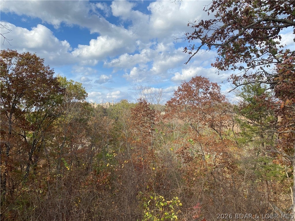 Niangua Point - Residential