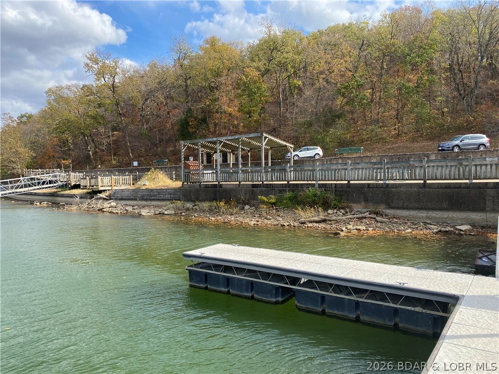 Niangua Point - Residential