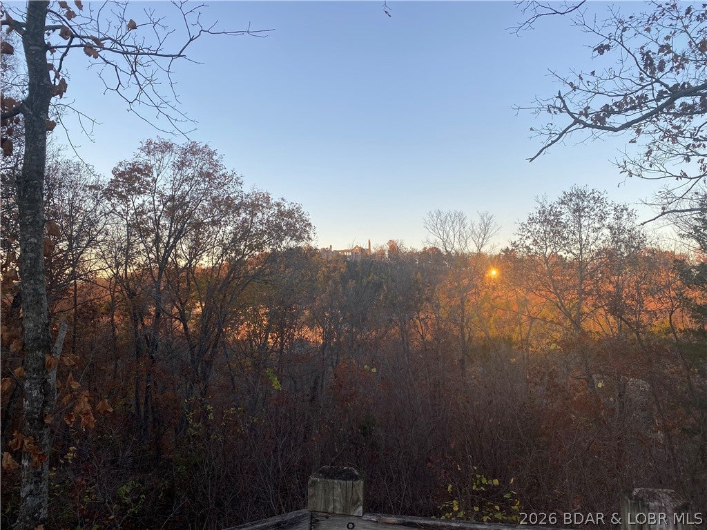 Niangua Point - Residential