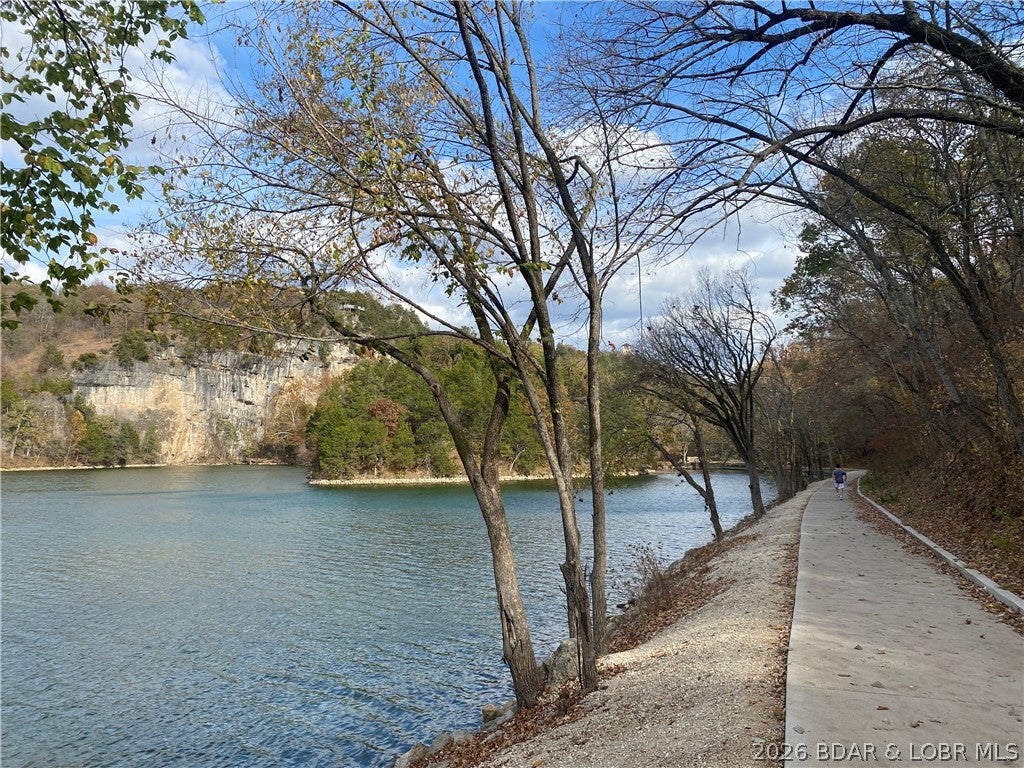 Niangua Point - Residential