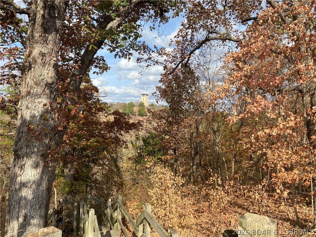 Niangua Point - Residential