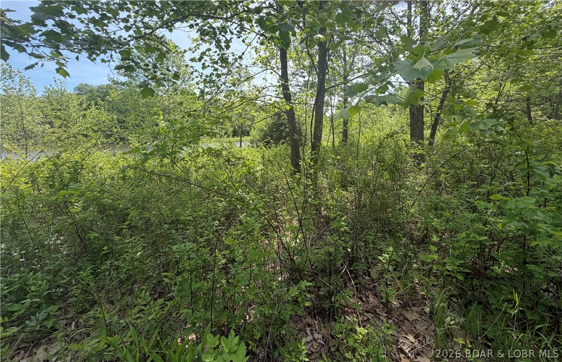 Forbes Lake of the Ozarks - Land