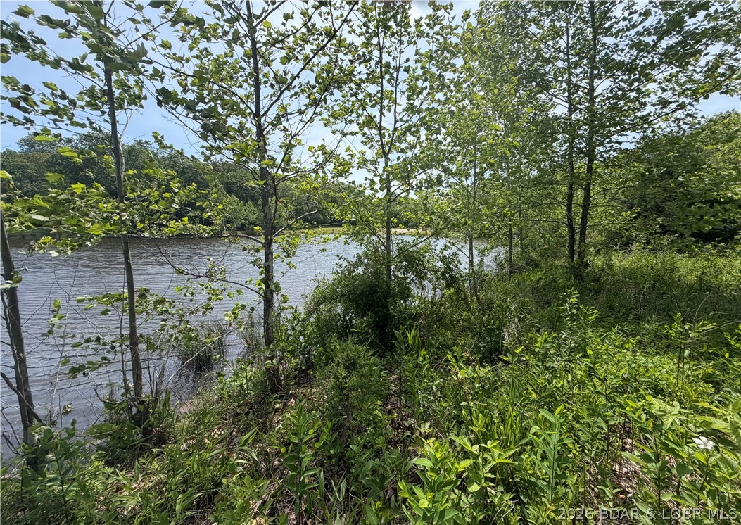 Forbes Lake of the Ozarks - Land