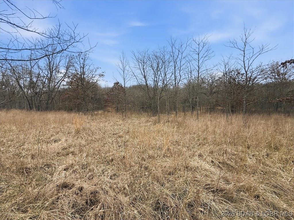 Coffman Bend #2 - Land
